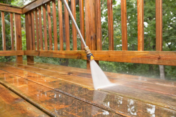 Best Solar Panel Cleaning  in Marathon, FL